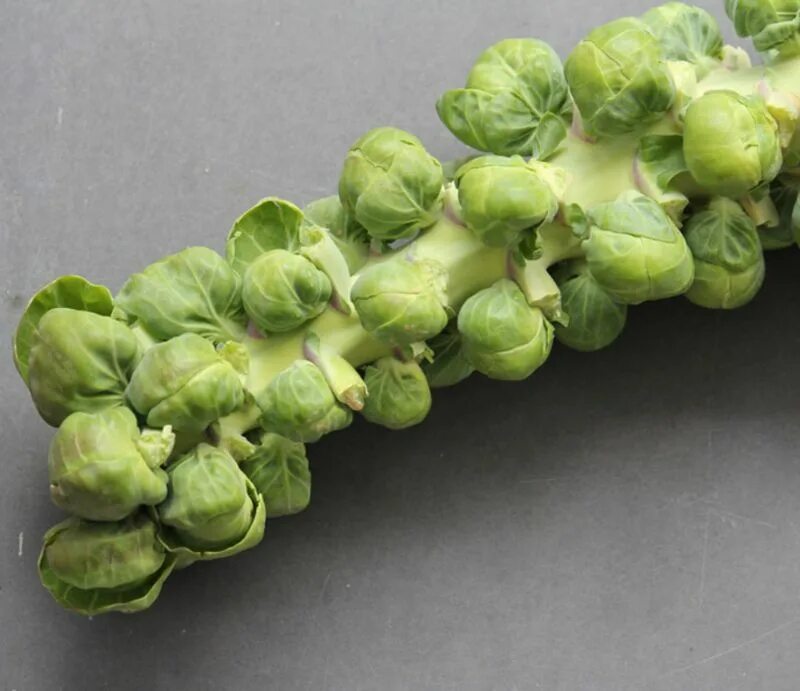 How to make delicious Brussels sprouts - Farm and Dairy