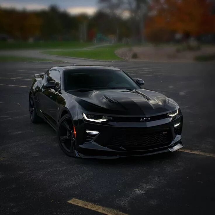 Покажи фото черный шевроле камаро гоночный Clean Black ⬛ ️◾ ️▪ * * * Owne Chevy camaro, Black camaro, Chevrolet camaro