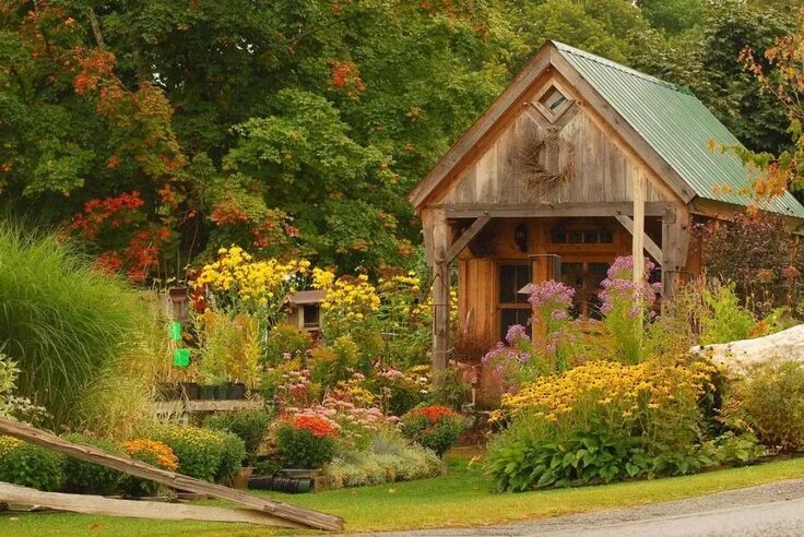 Покажи фото дачи Quaint-Rustic Garden House early Autumn by BlTZy, autumn, garden, autumn, garde 