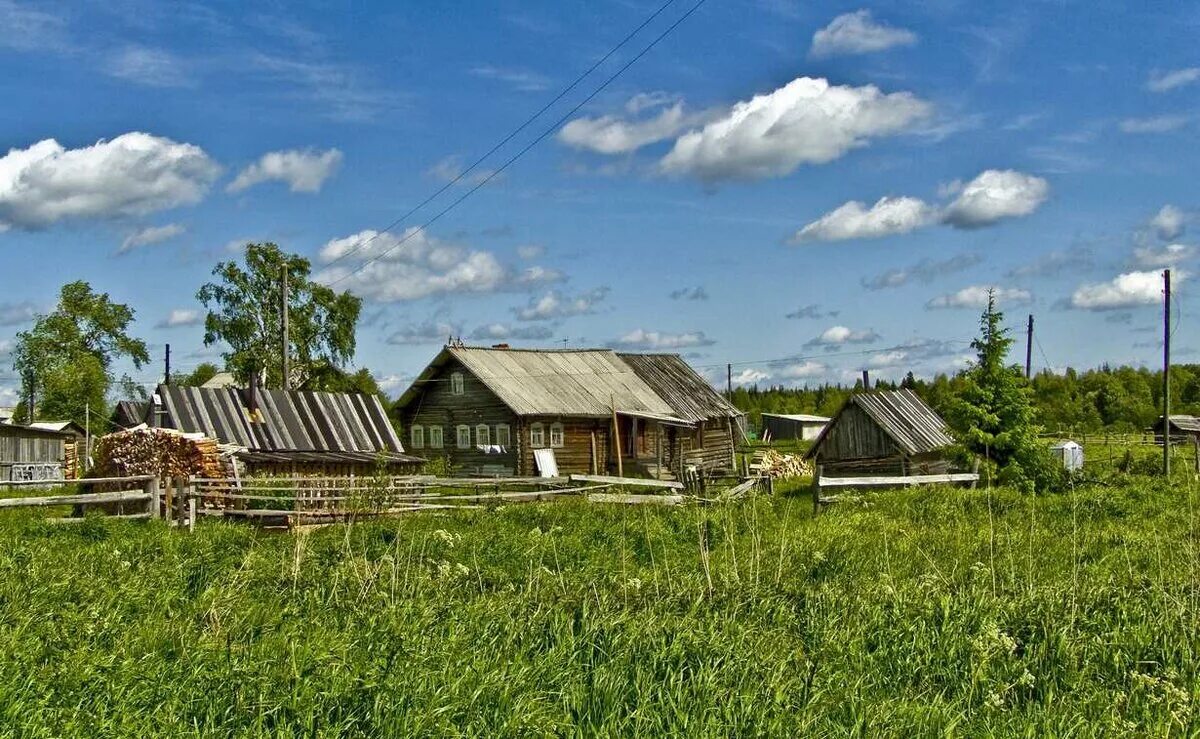 Покажи фото деревни Как я "городской" стал своим в деревне Уйду в лес Дзен