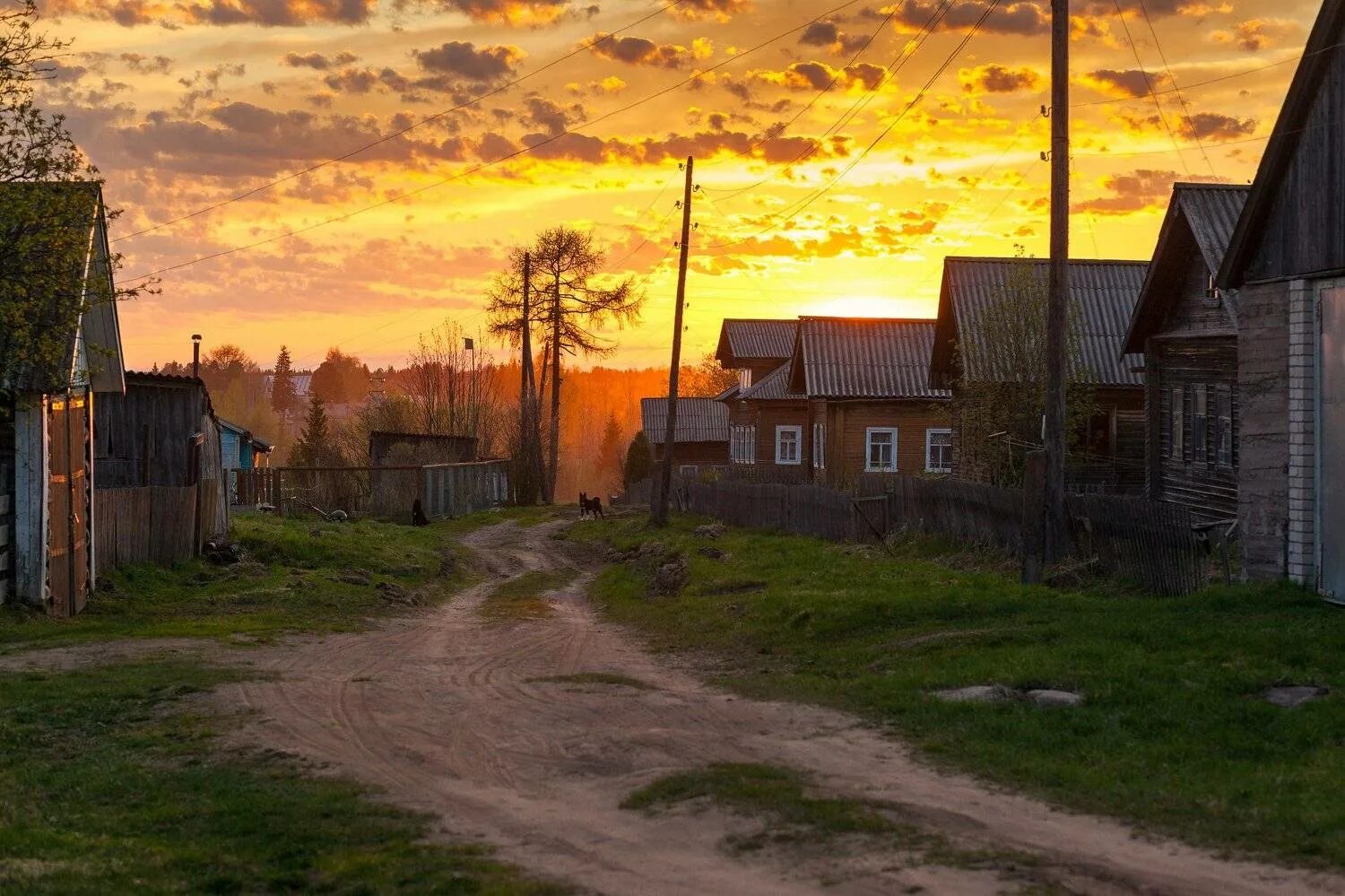 Покажи фото деревни светицы Photo contest Village landscape - 35AWARDS