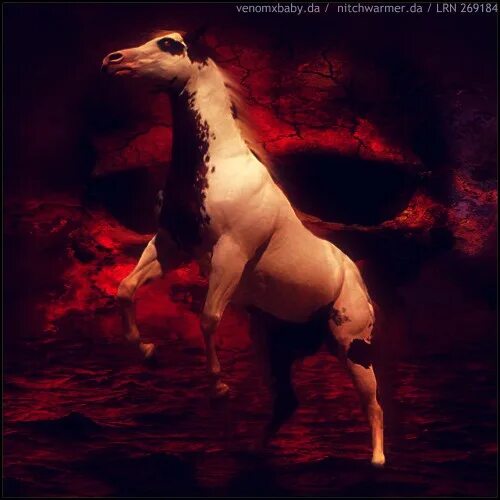 Покажи фото долговязой лошади BloodCave Horse Avi - Lensdump (Русский)