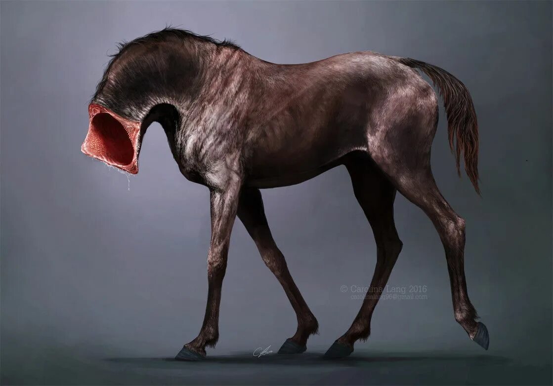 Покажи фото долговязой лошади Dreadsteeds Dark horse, Horses, Horror themes