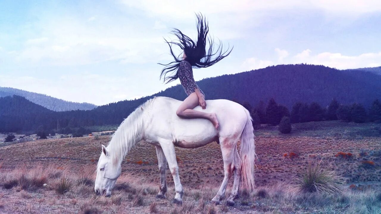 Покажи фото долговязой лошади Purrple Cat - Reading During A Thunder Storm - YouTube