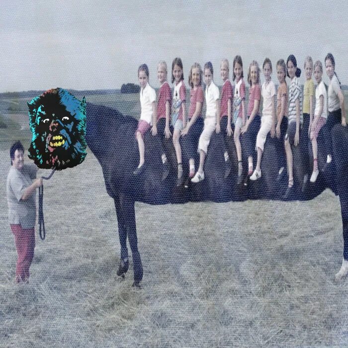 Покажи фото долговязой лошади Долговязая лошадь фото - Galeratut.Ru