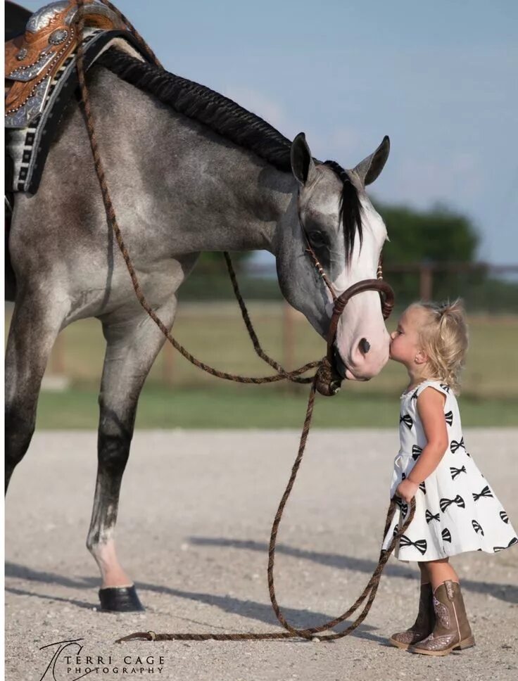 Покажи фото долговязой лошади Pin by Macie Castner on HORSE REFERENCES Animals friendship, Cute animals, Cute 