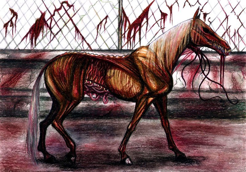 Покажи фото долговязой лошади Длинная лошадь - Roleton.ru