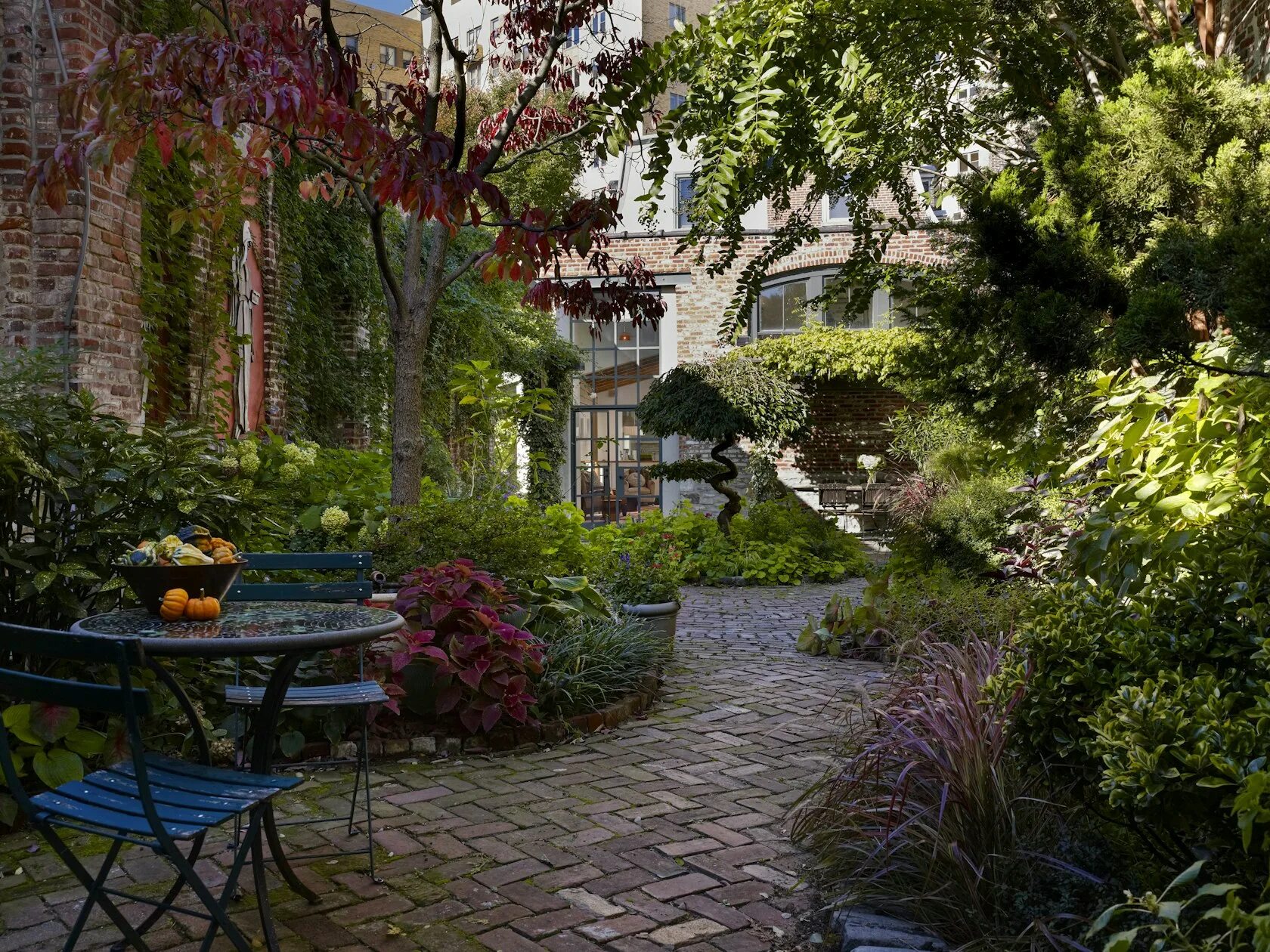 � � � � � � � � � � � � � � � � � � � � � � � � � Townhouse garden, Backyard