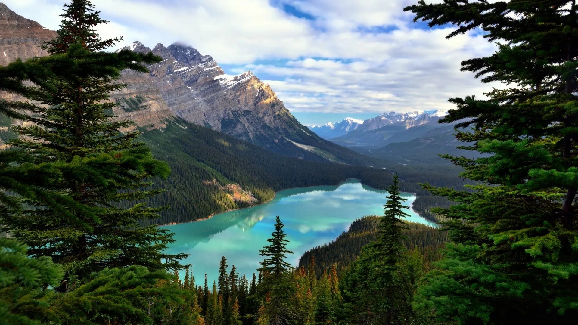 Покажи фото горных пейзажей Скачать обои Банф, Peyto Lake, горы, деревья, Alberta, Canada, озеро, Альберта, 