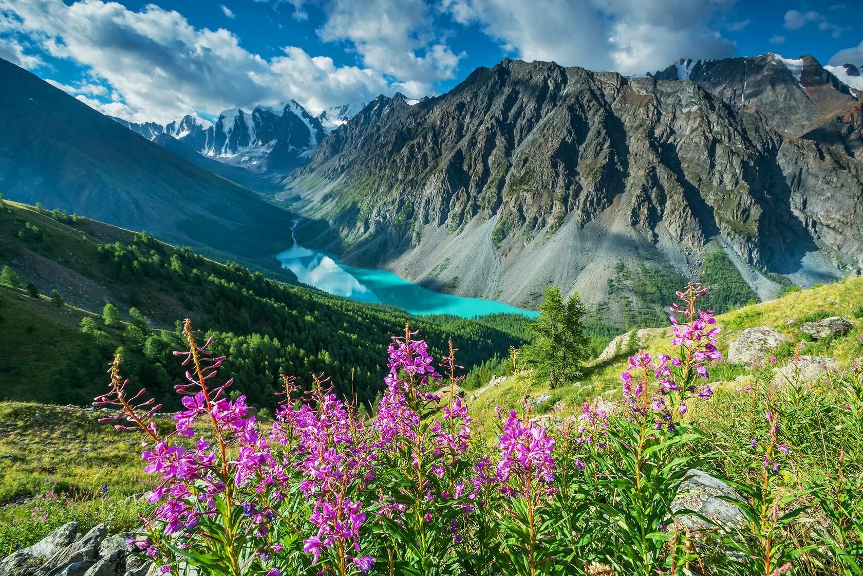 Покажи фото горных пейзажей Горный Алтай. Кругосветка за 5 дней - отдых по цене от 38 000 ₽ - YouTravel.Me