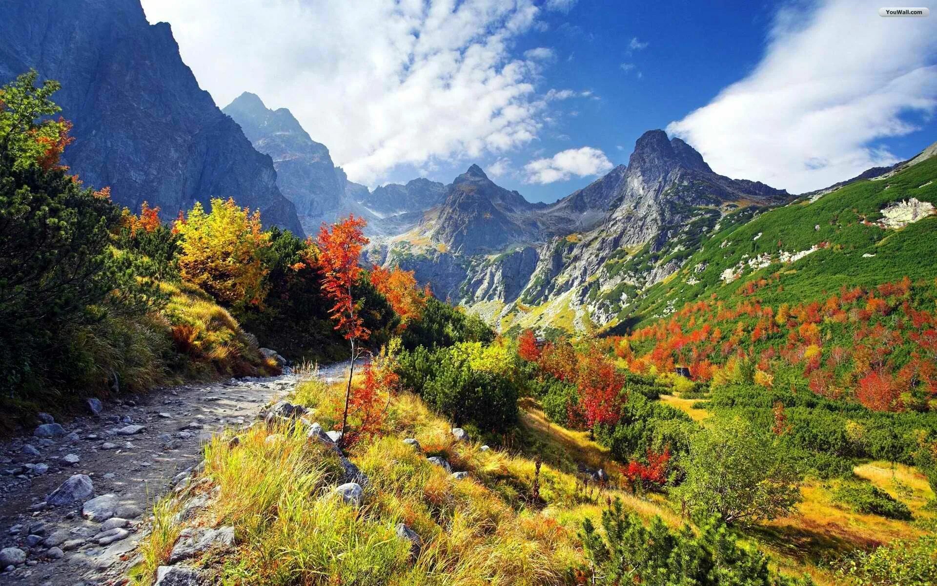 Покажи фото горных пейзажей Tatry mountains, Poland 1920x1200 Mountain pictures, Beautiful landscapes, Mount