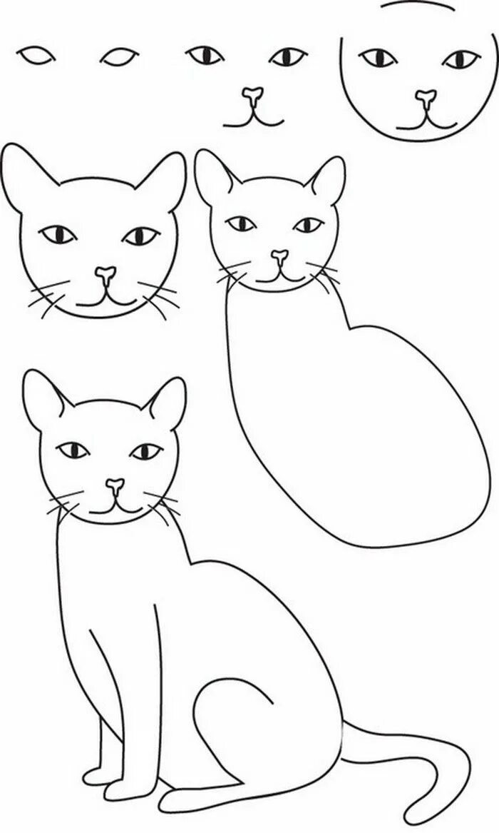 Покажи фото как нарисовать котика how to draw a cat . Dessin chat, Dessin coloriage, Apprendre à dessiner un chat