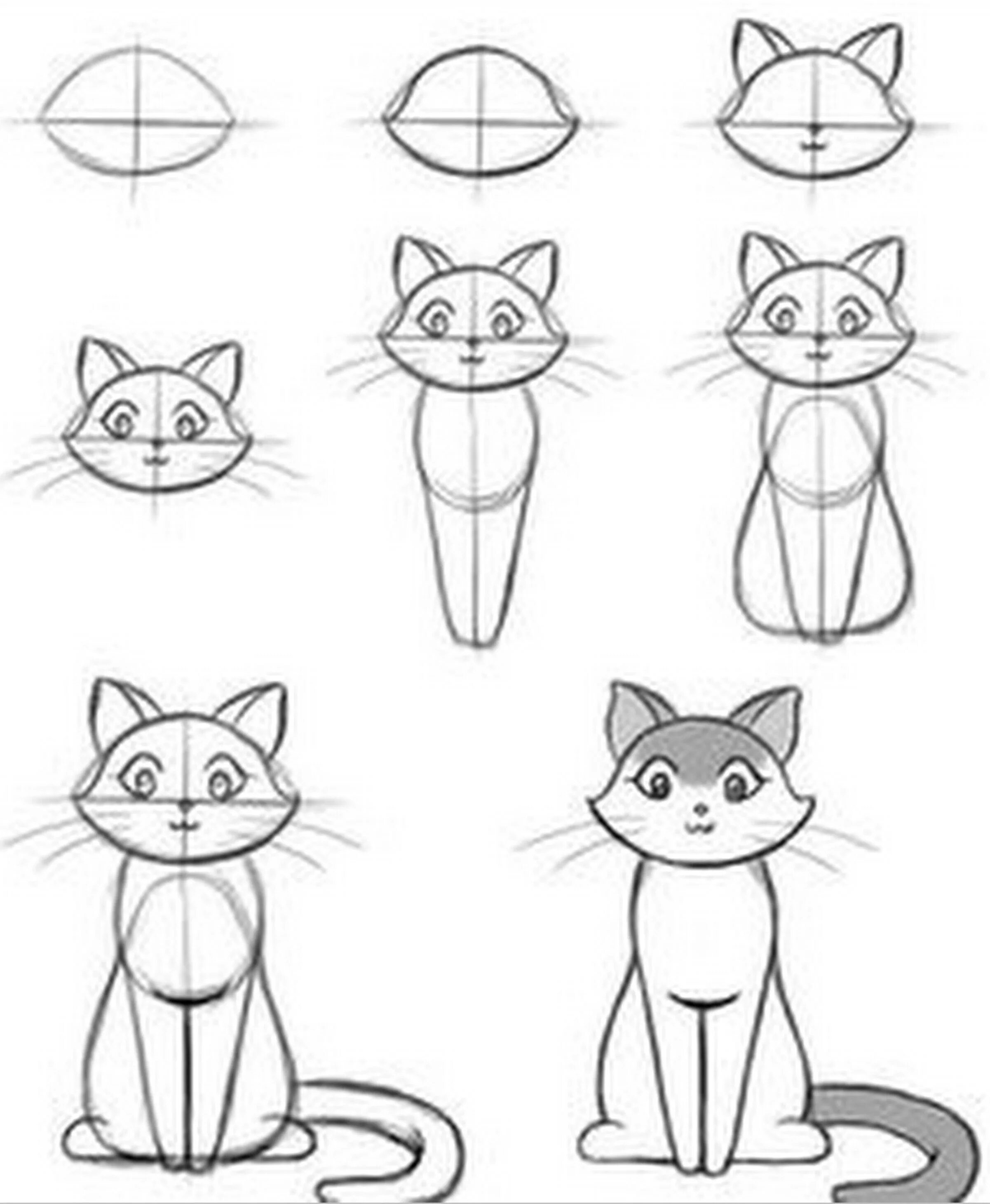 Покажи фото как нарисовать котика Tutoriels dessiner un chat Cat drawing tutorial, Sketches, Drawings