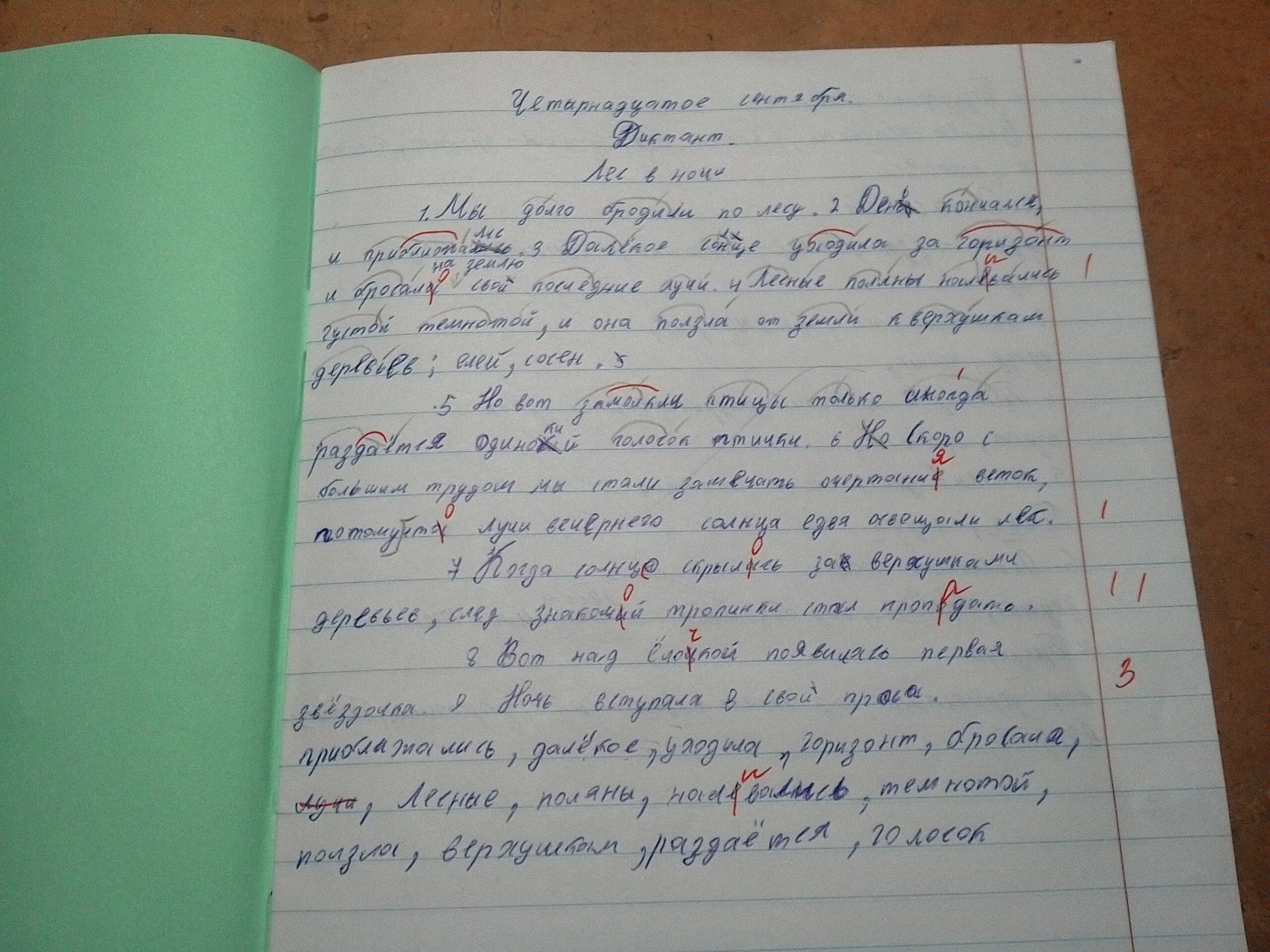 Покажи фото как пишется домашняя работа Диктант писать с проверкой и оценкой