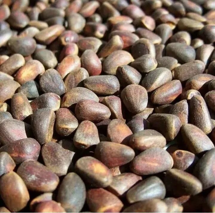 Покажи фото кедровый орех Кедровые орехи свежие. 400 грамм. Сбор 2023 - купить с доставкой по выгодным цен