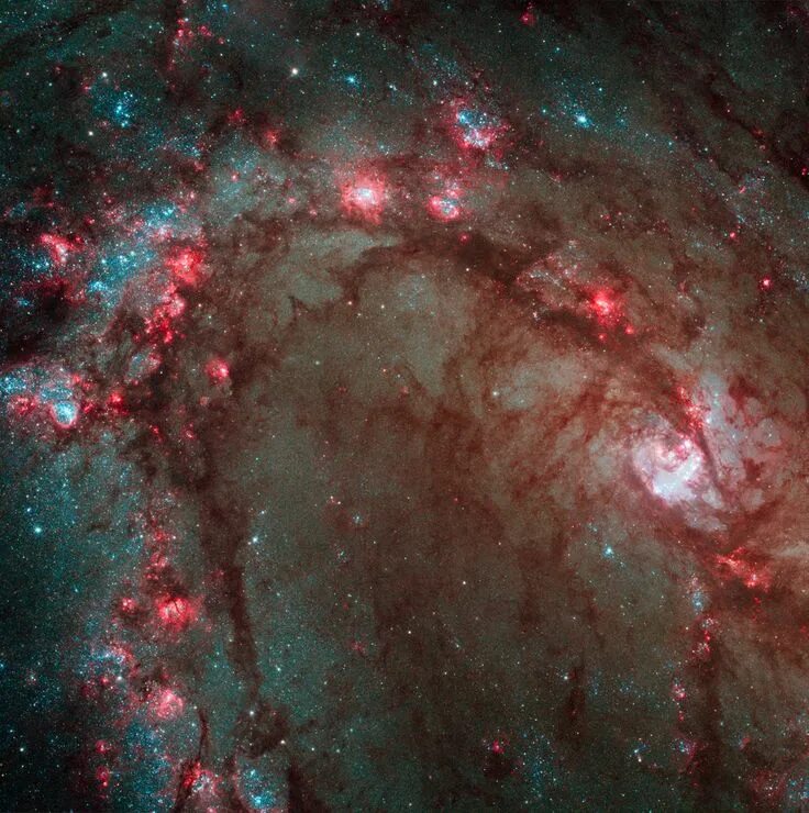 Покажи фото космоса star birth in galaxy m83 Космический телескоп хаббл, Астрономия, Млечный путь