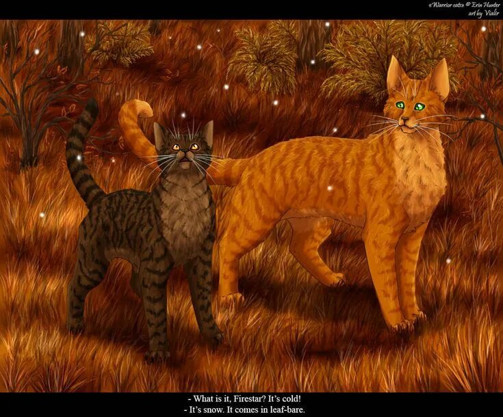 Покажи фото котов воителей Bramblepaw and Firestar Warrior cats books, Warrior cats comics, Warrior cat mem