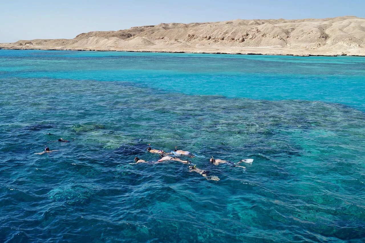 Покажи фото красного моря Лучшие места для дайвинга в Египте - EAZYDIVERS