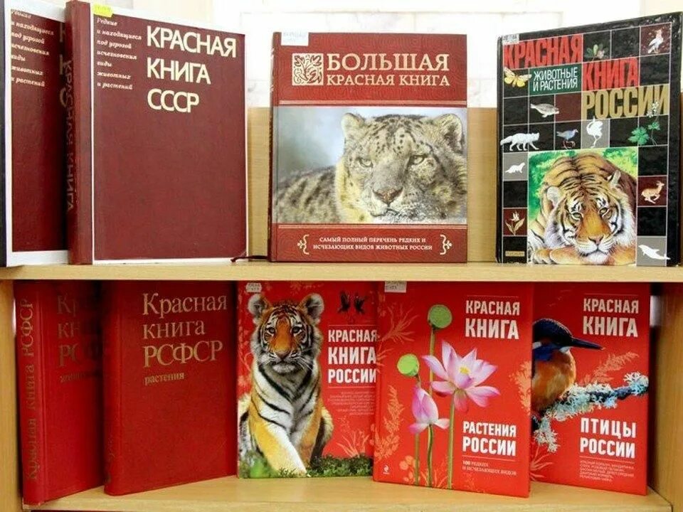 Покажи фото красной книги Книжная выставка "По страницам Красной Книги" 2022, Сасово - дата и место провед