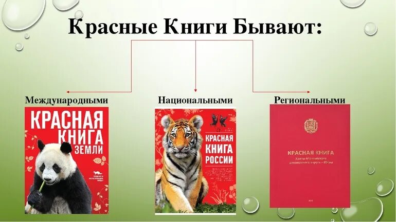 Покажи фото красной книги Виды животных международной красной книги: найдено 74 изображений