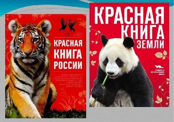 Покажи фото красной книги 1 страница красной книги