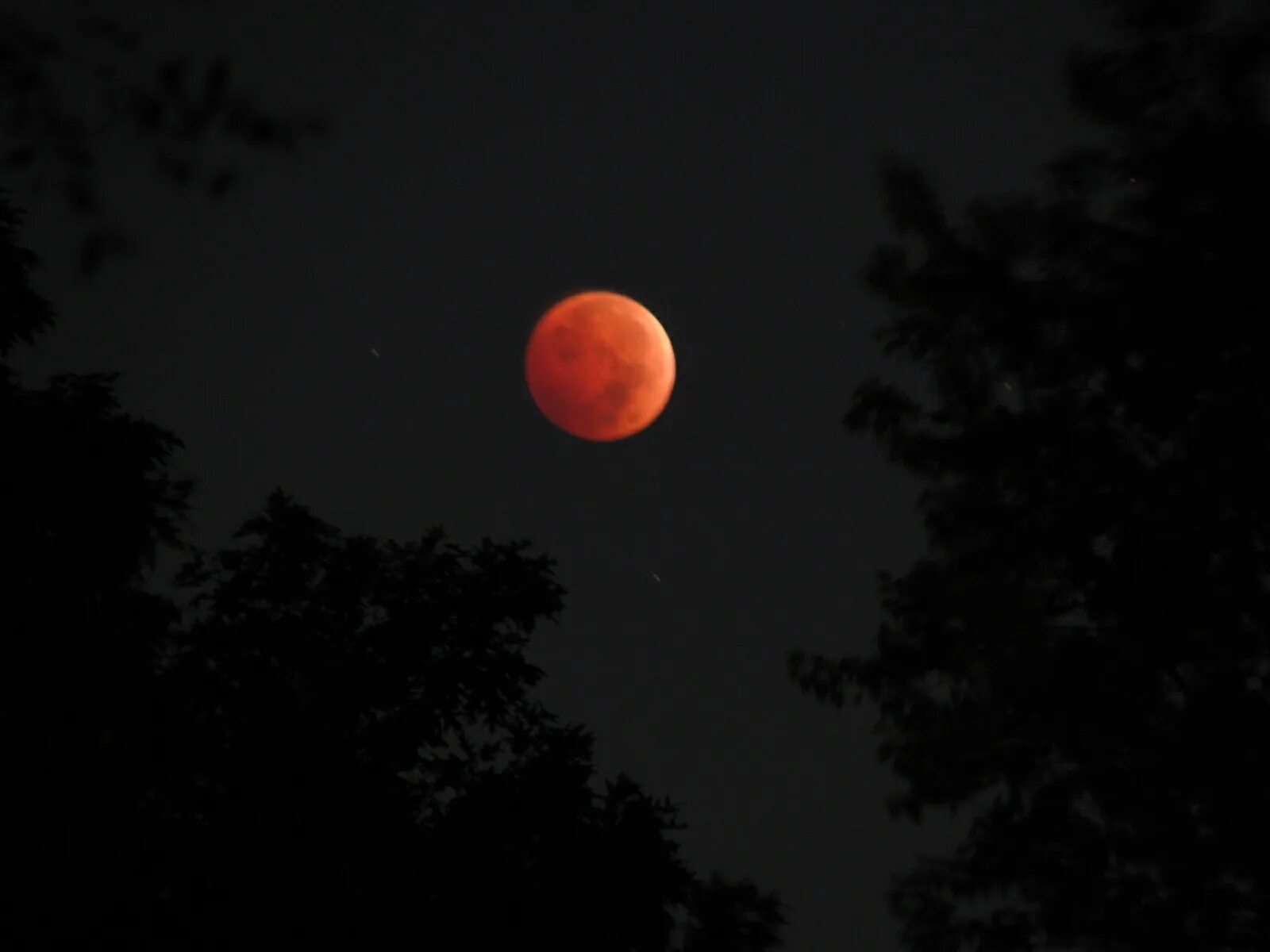 Покажи фото кровавой луны PHOTOS Lunar Eclipse 2014 Fox 59