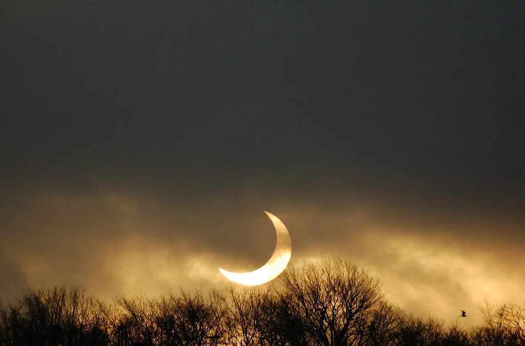 Покажи фото месяца Solar Eclipse 4 of January 2011 EXPLORED - Solar Eclipse 4. Flickr