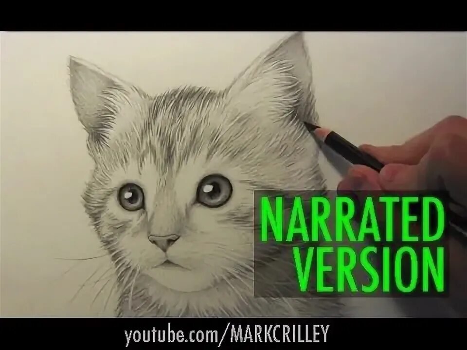 Покажи фото нарисованного кота YouTube Cat drawing, Drawing tutorial, Animal drawings