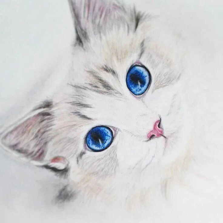 Покажи фото нарисованного котенка 19+ Cat Drawings, Art Ideas, Sketches Cat drawing, Cat painting, Cat with blue e