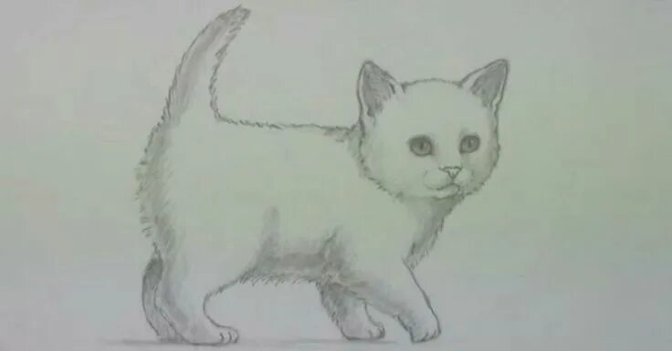 Покажи фото нарисованного котенка Pin by Поделки, рисунки и фото на раз on Котята. Kittens Cat drawing tutorial, A