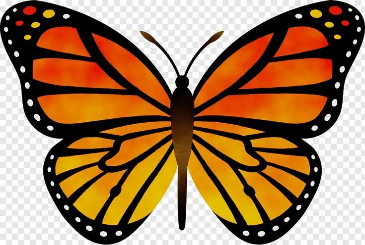 Покажи фото нарисованных бабочек Monarch Butterfly Drawing, Silhouette, Web Design, Orange, Cartoon, Lepidoptera,