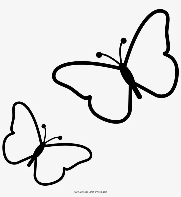 Покажи фото нарисованных бабочек Borboletas Coloring Page - Desenho Borboleta Para Colorir Png , transparent png 