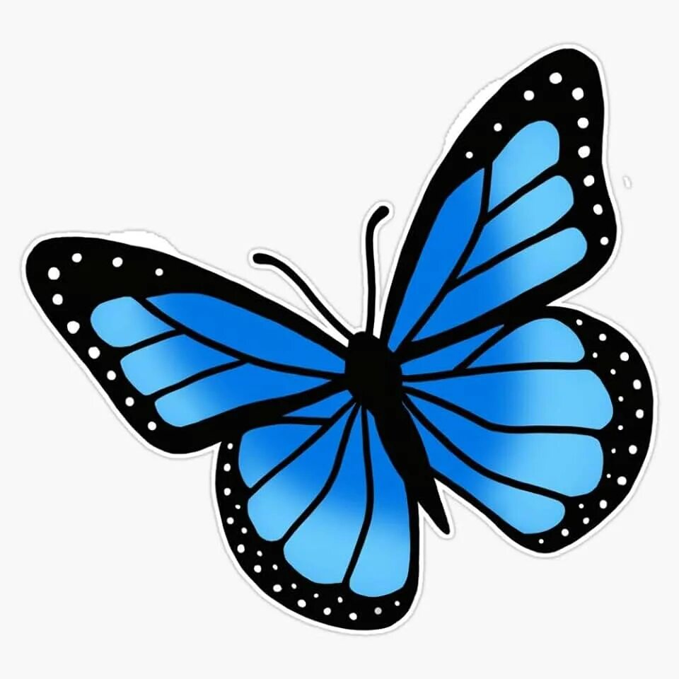 Покажи фото нарисованных бабочек Amazon.com: Blue Butterfly Stickers