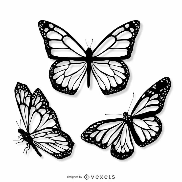 Покажи фото нарисованных бабочек 3 Realistic Butterfly Illustration Set Vector Download Butterfly tattoo stencil,