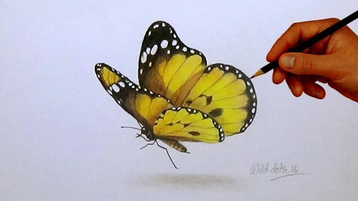 Покажи фото нарисованных бабочек Drawing A Butterfly Simple And Easy Steps Butterfly drawing, Easy drawings, 3d d