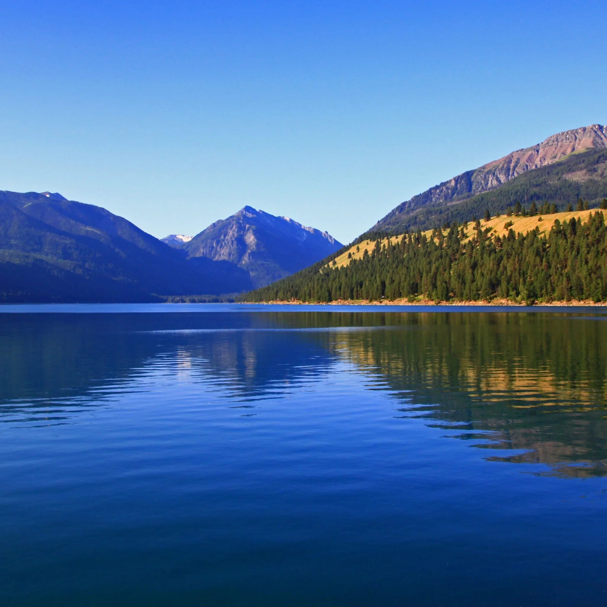 Покажи фото озера Download wallpaper forest, nature, Oregon, mountain lake, Wallowa Lake and Wallo