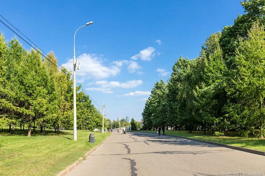 Покажи фото парк победы Плюсы города Тольятти Tut cute / хобби-вязанные игрушки Дзен