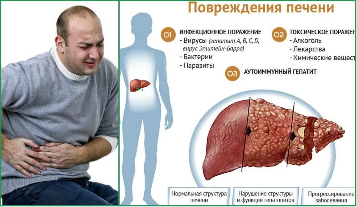 Печень свиная охлажденная - купить в Москве, цены в интернет-магазинах на Мегама