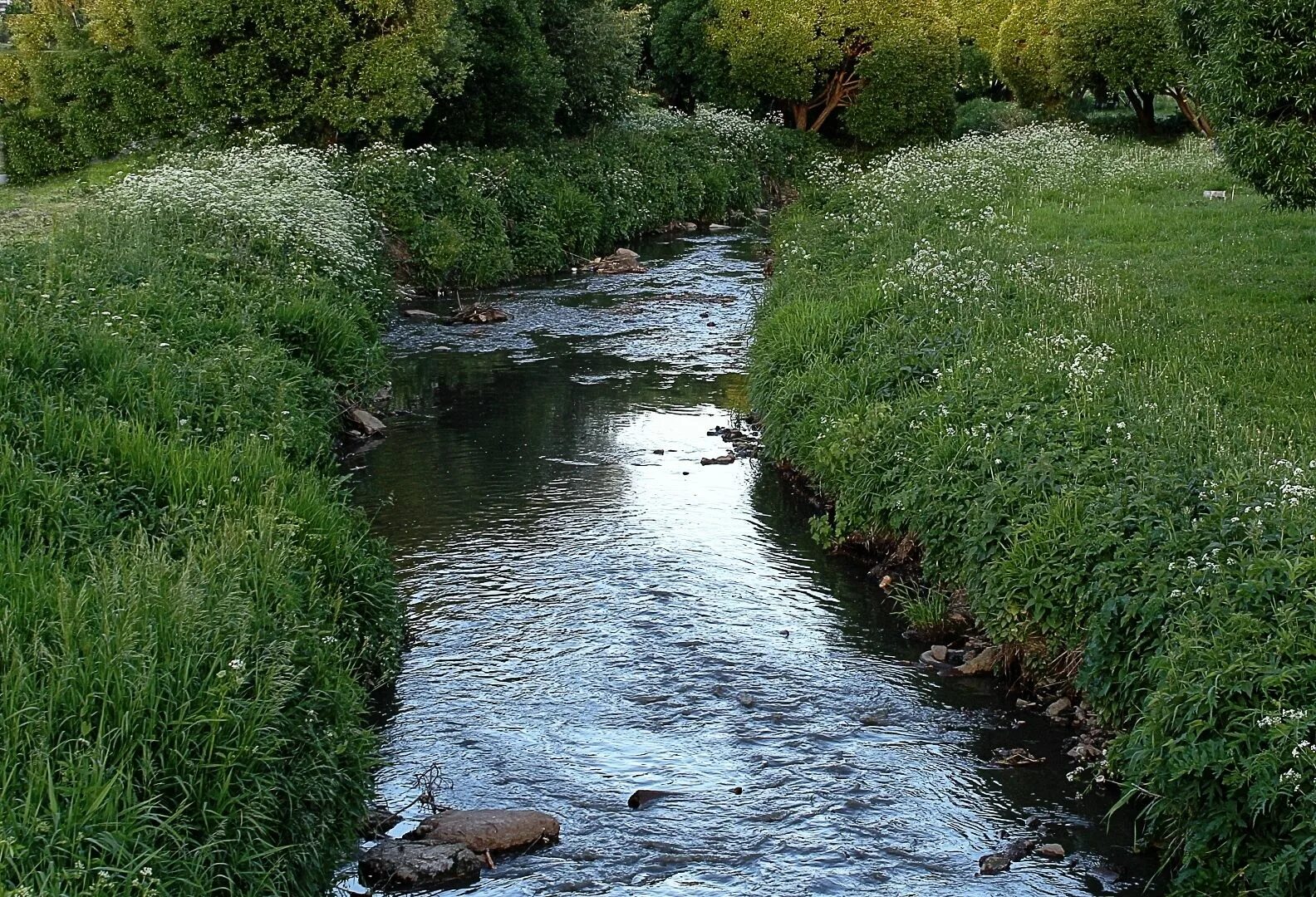 Покажи фото реки Река сэр