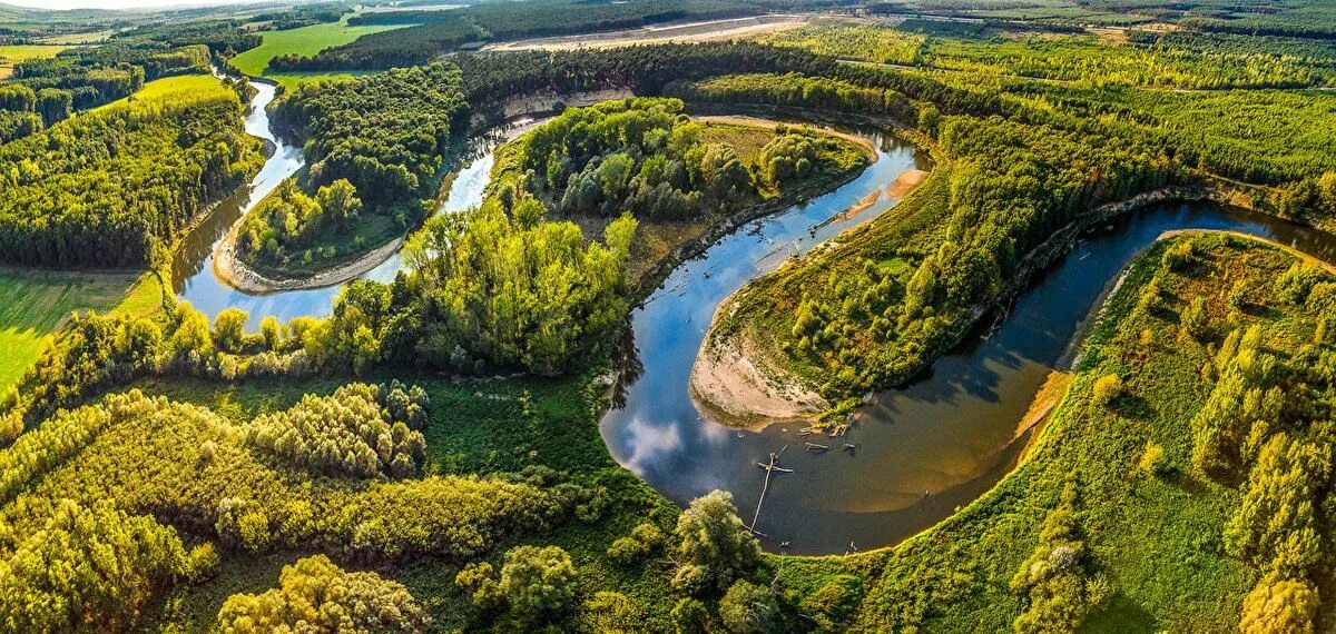 Покажи фото реки Экологическое путешествие "Реки, речки и моря на земле текут не зря" 2020, Шатур