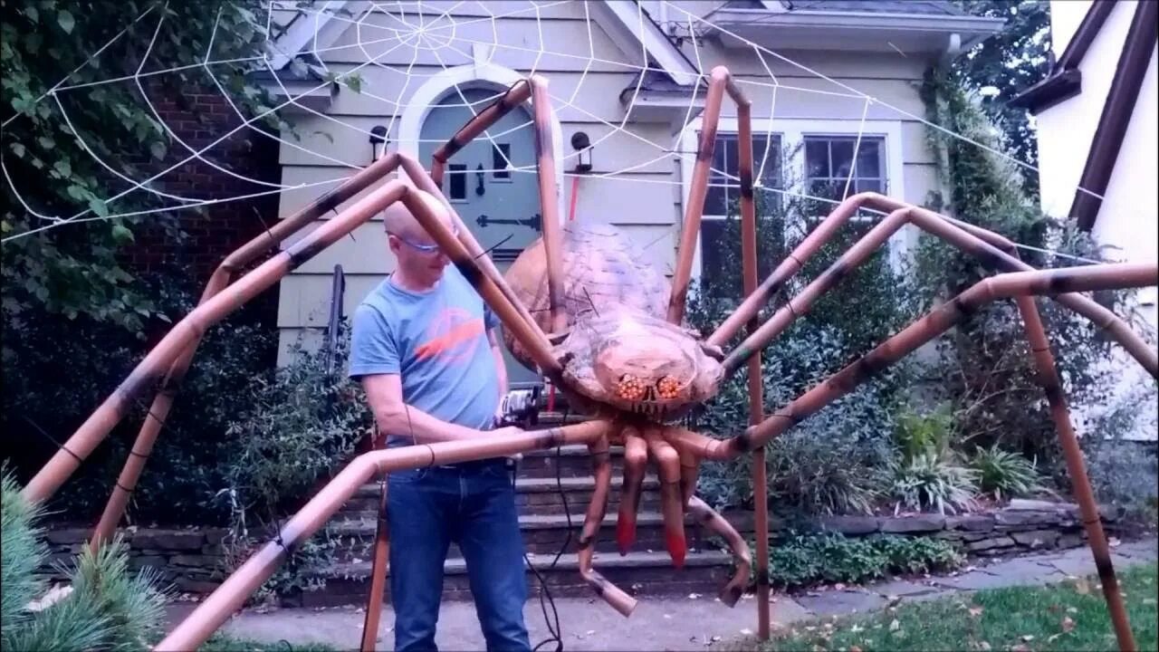 Покажи фото самого большого паука GIANT Halloween Spider - YouTube