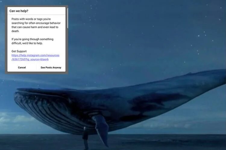 Покажи фото синего кита Blue Whale suicide challenge warning appears on Instagram - but it lets user see