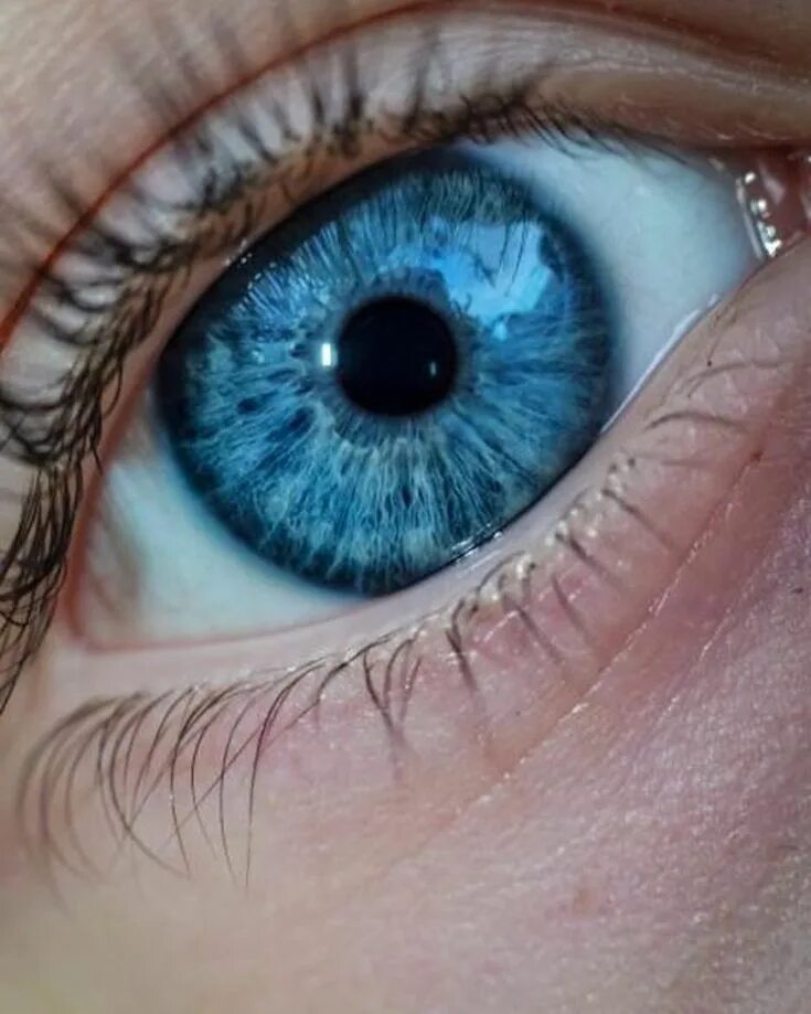 Покажи фото синих глаз Pin on eyes colors Blue eyes aesthetic, Eye art, Electric blue eyes