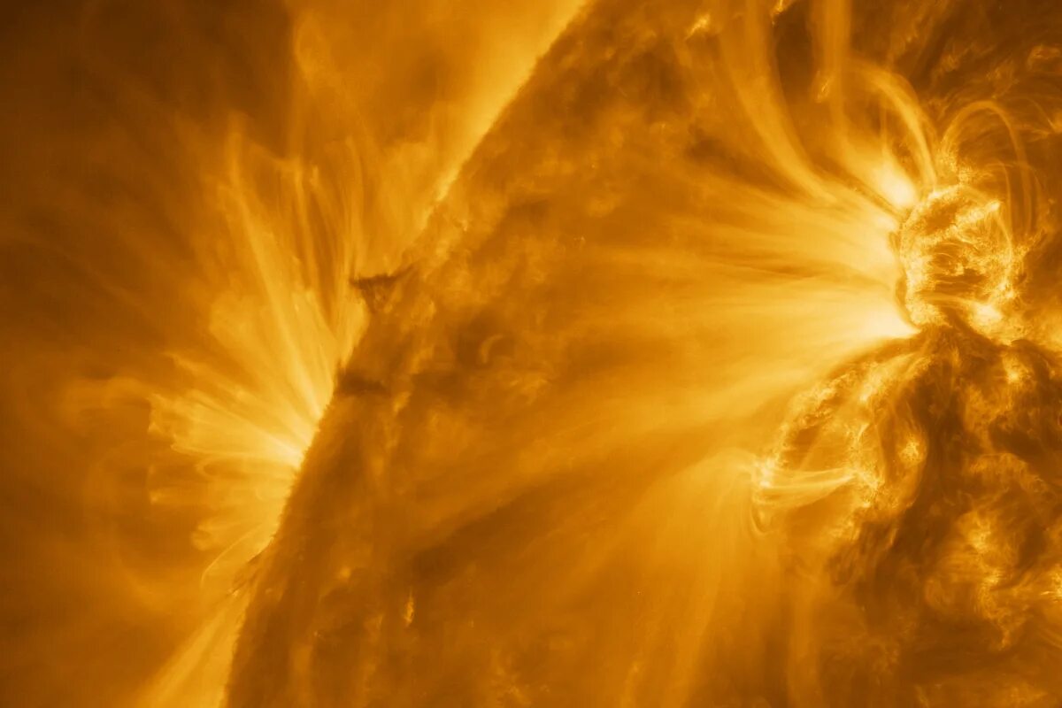 Покажи фото солнца Solar Orbiter probe snaps the sharpest ever image of the Sun's corona