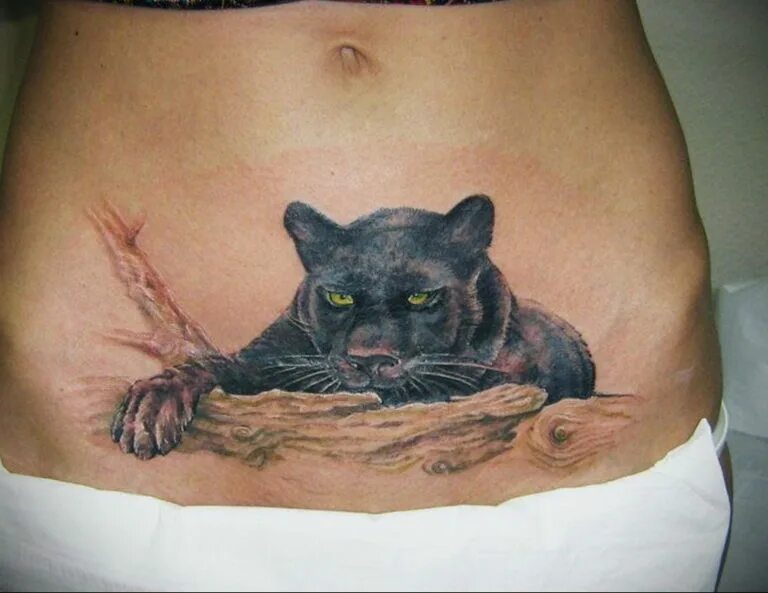 Покажи фото тату cat tattoo on the stomach 03.12.2019 № 012 -cat tattoo- tattoovalue.net - tattoo