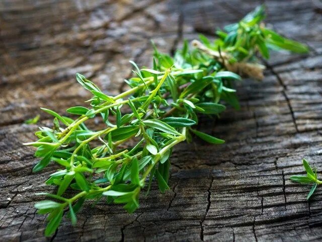 Покажи фото травы Les vertus de l'huile essentielle de sarriette vivace Summer savory, Herbs, Herb