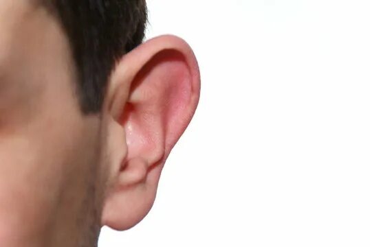 Покажи фото уха Ohr Tinnitus Зображення - огляд 472 Стокові фото, векторні зображення й відео Ad