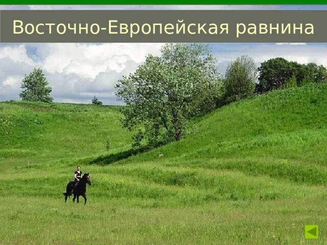 Покажи фото восточно европейская равнина Равнины и горы России