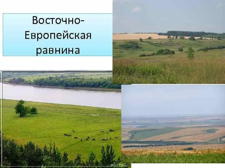 Покажи фото восточно европейская равнина Самая длинная река восточно европейской равнины