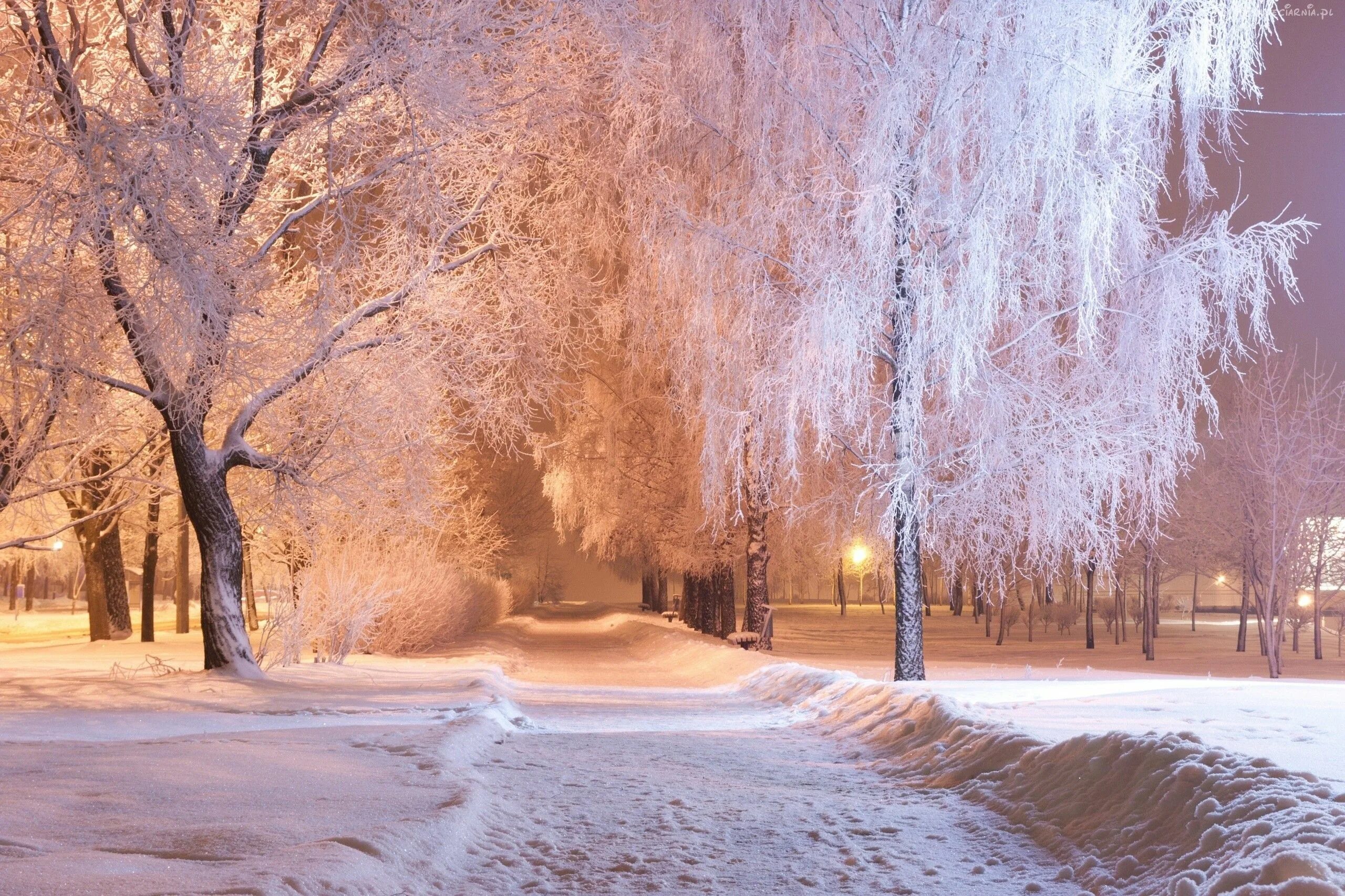 Покажи фото зимы Zima, Ścieżka, Park Winter landscape, Night time photography, Snow scenes photog